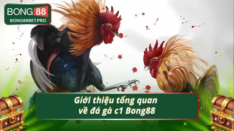 Giới thiệu tổng quan về đá gà c1 Bong88